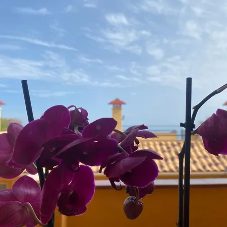 Brisa De Carvajal Appartement Benalmádena